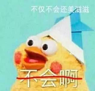 暑期里的上海迪士尼,简直就是国民素质的照妖镜