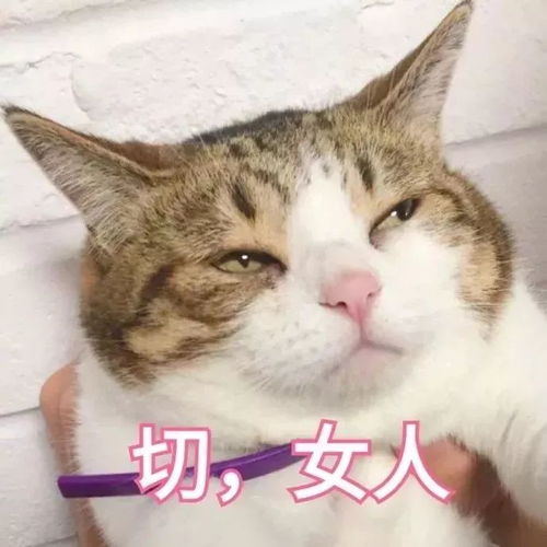 头像丨没有早一步也没有晚一步,那是太难得的缘份