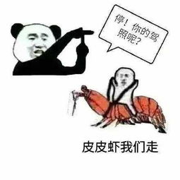皮皮虾高清图片