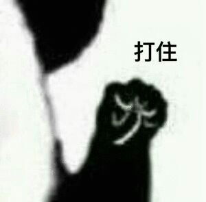 球球303能少点缩写词