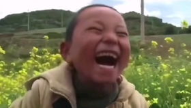 茄子看闹太套柜子又动了