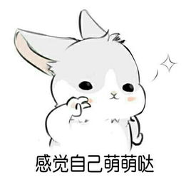 这是什么兔子表情