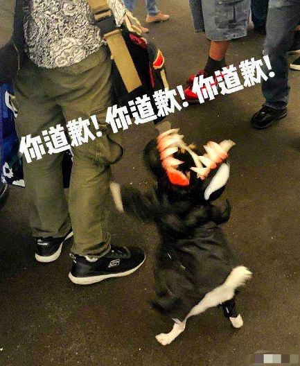 有哪些甜甜的女追男也可以是女a男o的小说推荐呀