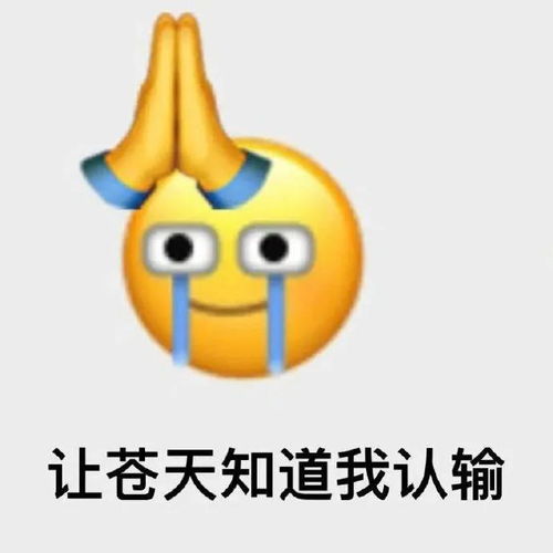 表情包让苍天知道我认输