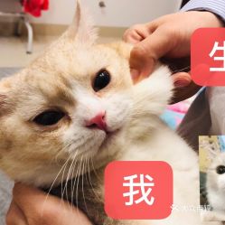 电话,地址,价格,营业时间深圳生活服务
