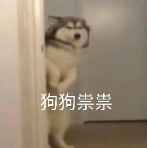 哈皮狗表情包狗子