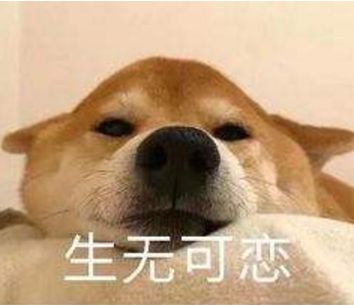 扎心了春节未到常光顾的小店已经放假,然而你还在上班