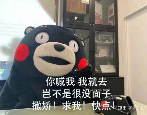 微信聊天有没有搞笑,幽默风趣的表情包可以分享下呢