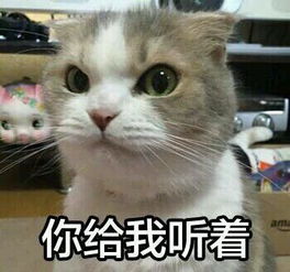 动物表情萌图加文字
