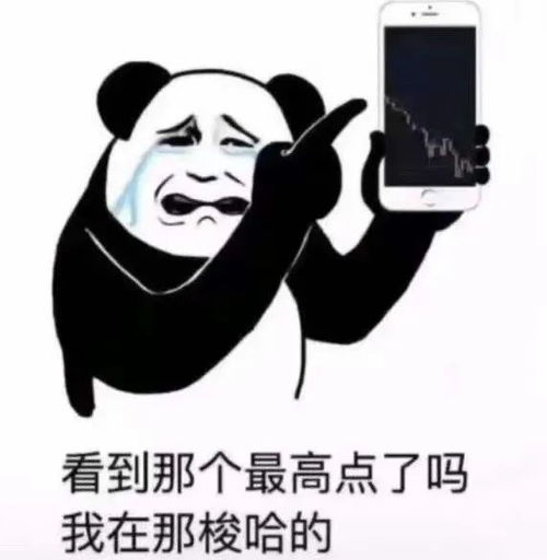 沙雕表情包绿我可以绿我基金不行