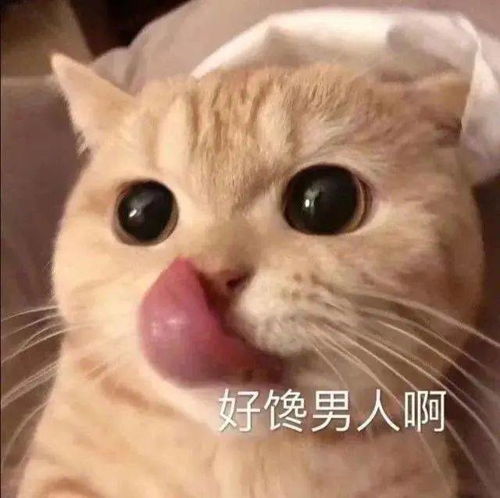 不乖,炖了你哦丨第135期喵表情