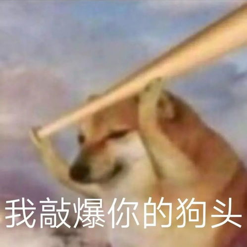 表情包蛤蟆狗柴犬cheems表情包