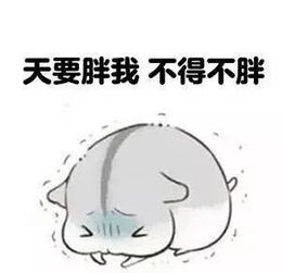 讽刺胖子的表情包求婚
