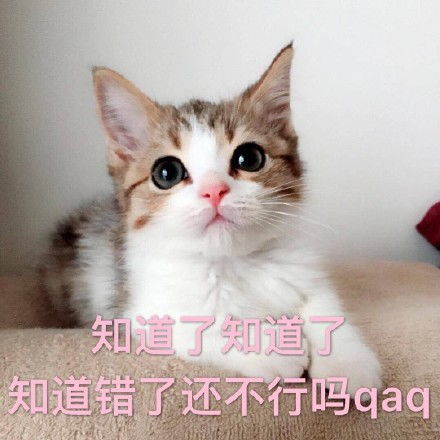 行了行了知道了表情包行了行了知道了微信表情包行了行了知道了qq表情包发表情fabiaoqing.com