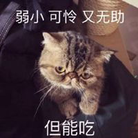 孤独无助又胖胖表情包微信头像图片大全