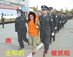 qq表情群用qq表情潜水隐身瞧,走私的都被抓了