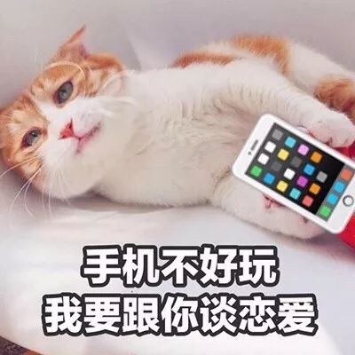 说不过你,但喜欢你