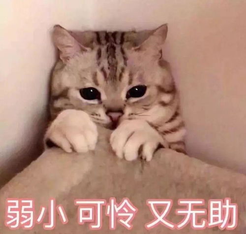粉丝来信说不要让电器变成凶器