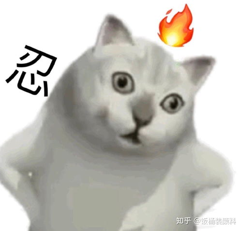 鸟的咬合力如何