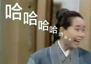 哈哈哈大笑表情包微信茶院