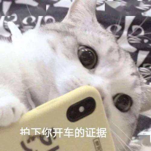 106个沙雕表情包天天就知道骚骚骚