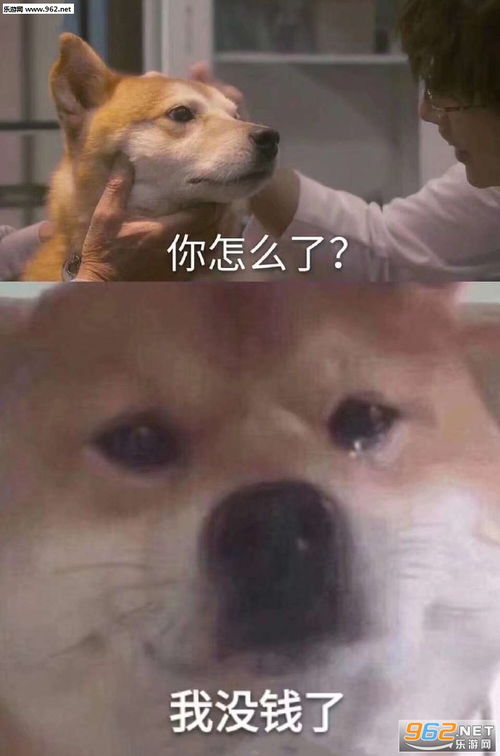 太致命了表情包我觉得你个狗东西在骗我表情包图片下载乐游网游戏下载