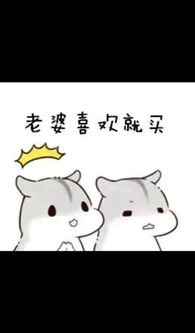 求小仓鼠hamham的表情包老公老婆,小娘子,夫君君系列的