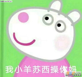 小猪佩奇不差钱表情图片社会佩奇不差钱表情包下载乐游网游戏下载