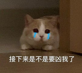 2019年俄罗斯最受欢迎品牌小米跻身top10无华为