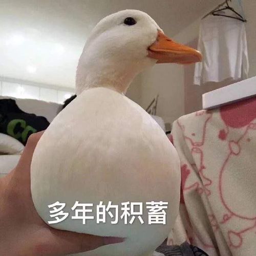 我为什么考研失败之缺乏经济保障