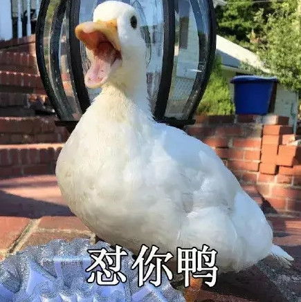 开心一刻笑话我和老婆已经结婚十多年了,有一个五岁的闺女