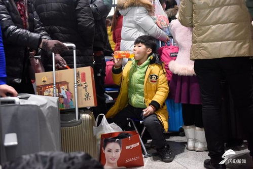 春运微表情丨回家路上萌化你心