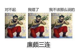 我从未见过有如此厚颜无耻之人诸葛亮gif动图动图gif厚颜无耻从未见过诸葛亮表情