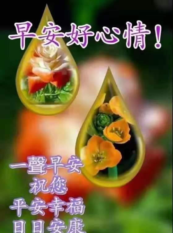 早安愿我所念之人,岁月不老,你我都好