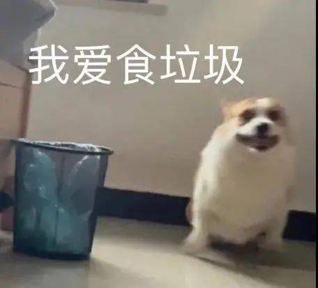 阴阳怪气动物系列表情