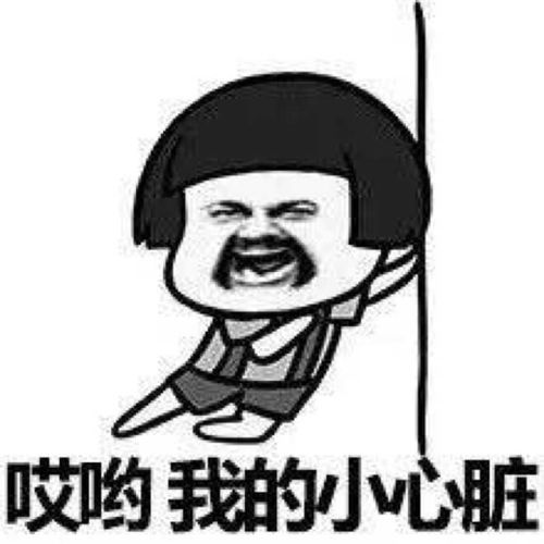 表情驾校教练是怎样的一类人表情