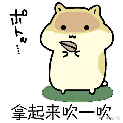 你有哪些可爱的小仓鼠表情包