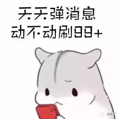 绵阳家长速看本地户籍怎么就读公立小学初中答案来了