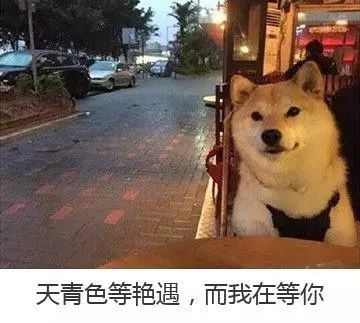 今天,你跨界了吗