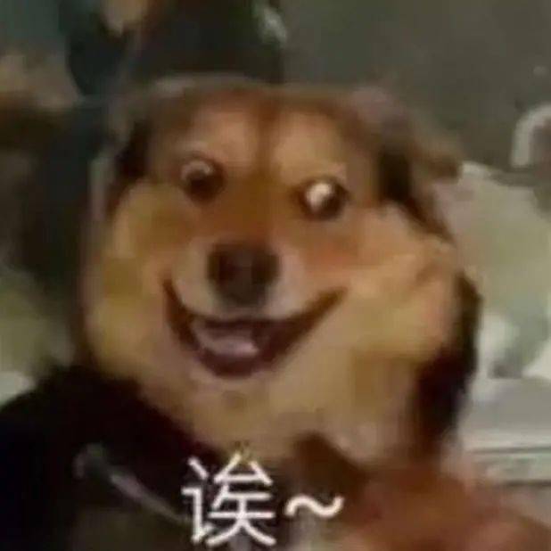 招新季十麻烦给我爱的就业来一杯mojito