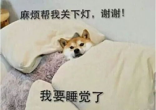 睡睡睡就知道睡表情包宋仲基