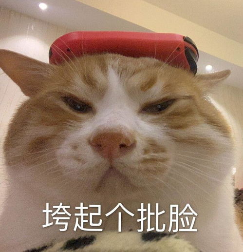 有没有什么猛女专用表情包