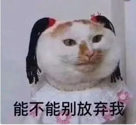 笑话段子,你这是投大成本,想钓大鱼啊