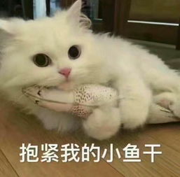 为什么作家卖书的版税那么低