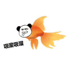 每日表情微信聊天斗图