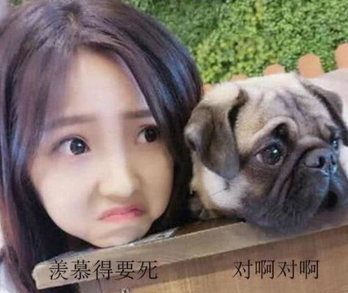 开心一刻笑话七夕节到了,心情特别压抑,一个人去公园散心