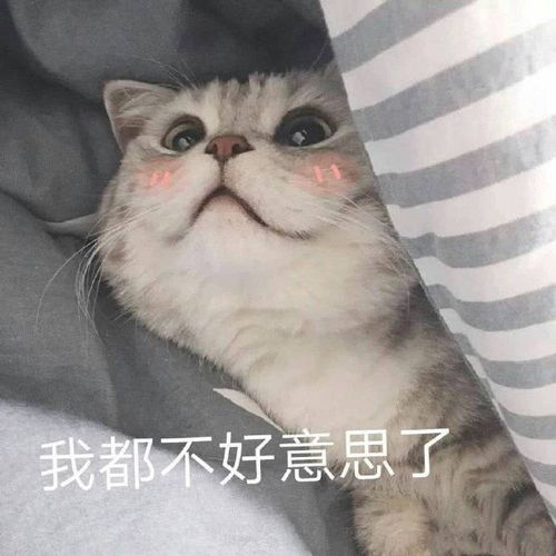最新表情包图片明明动了情,却又不敢靠近你