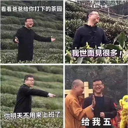 我开始怀疑网易是家广告公司了