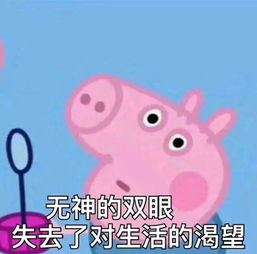 小猪佩奇表情包合辑,这些猪猪我能看一整天