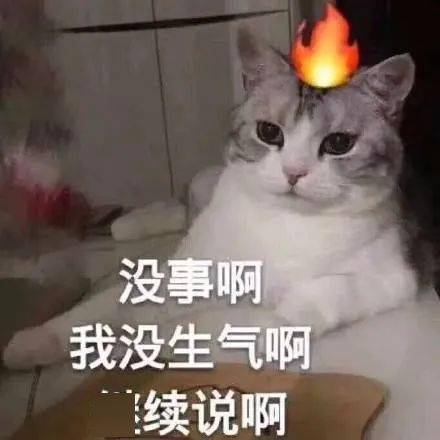 天津相声广播凡鸟理解不了孔雀的生活